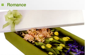 tamworth florist